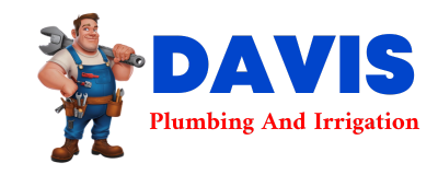 Trusted plumber in LEAD HILL